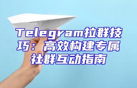 Telegram拉群技巧：高效构建专属社群互动指南