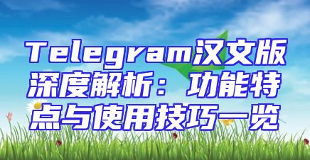 Telegram汉文版深度解析：功能特点与使用技巧一览