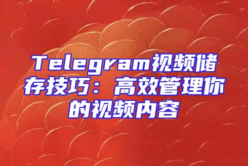 Telegram视频储存技巧：高效管理你的视频内容