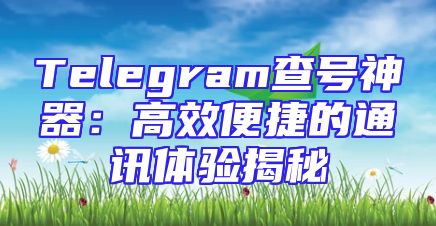 Telegram查号神器：高效便捷的通讯体验揭秘