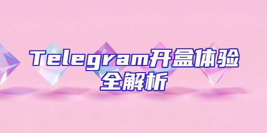 Telegram开盒体验全解析