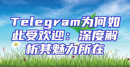 Telegram为何如此受欢迎：深度解析其魅力所在