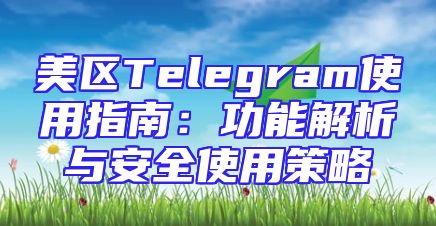 美区Telegram使用指南：功能解析与安全使用策略