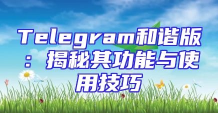 Telegram和谐版：揭秘其功能与使用技巧