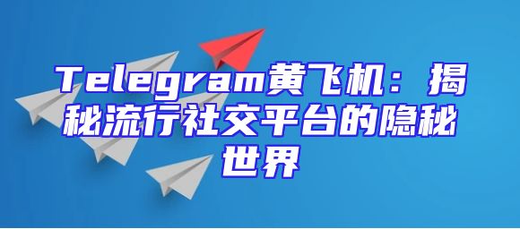 Telegram黄飞机：揭秘流行社交平台的隐秘世界
