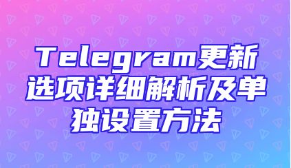 Telegram更新选项详细解析及单独设置方法