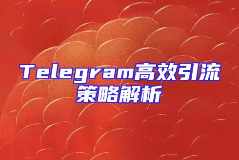 Telegram高效引流策略解析