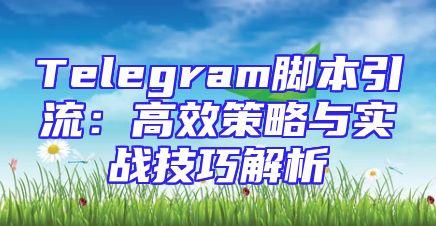 Telegram脚本引流：高效策略与实战技巧解析