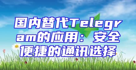 国内替代Telegram的应用：安全便捷的通讯选择