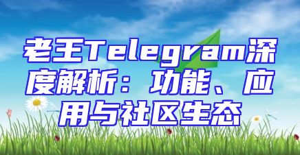 老王Telegram深度解析：功能、应用与社区生态
