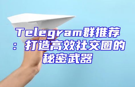 Telegram群推荐：打造高效社交圈的秘密武器