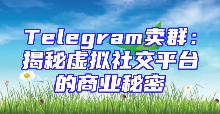 Telegram卖群：揭秘虚拟社交平台的商业秘密